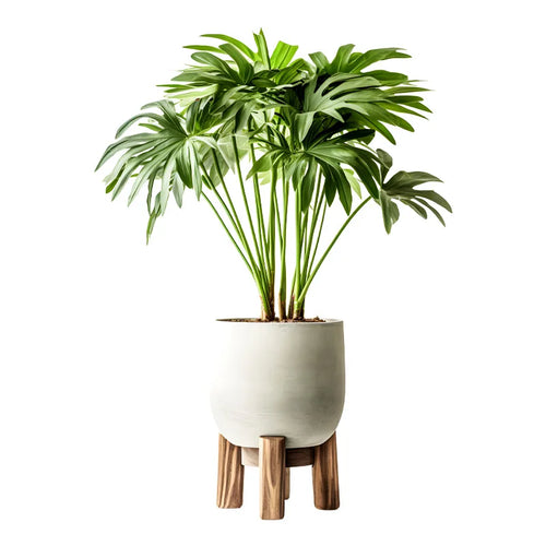 Sticker Green Plant Pot Wall