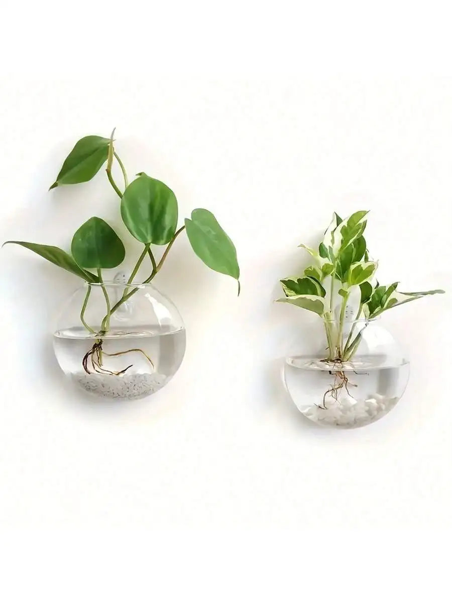 Pack Wall Hanging Glass Terrarium