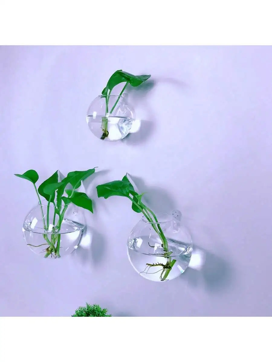 Pack Wall Hanging Glass Terrarium