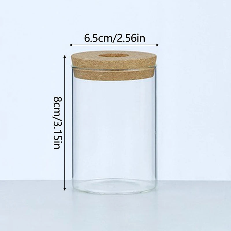 Hydroponic Plant Home Vase Decor Transparent Hydroponic Flower Pot Soilless Plant Pots Office Desktop Green Plants Pot Potted