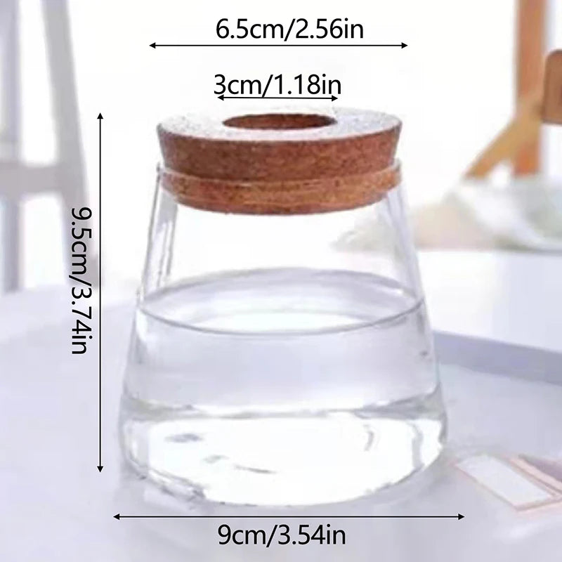 Hydroponic Plant Home Vase Decor Transparent Hydroponic Flower Pot Soilless Plant Pots Office Desktop Green Plants Pot Potted