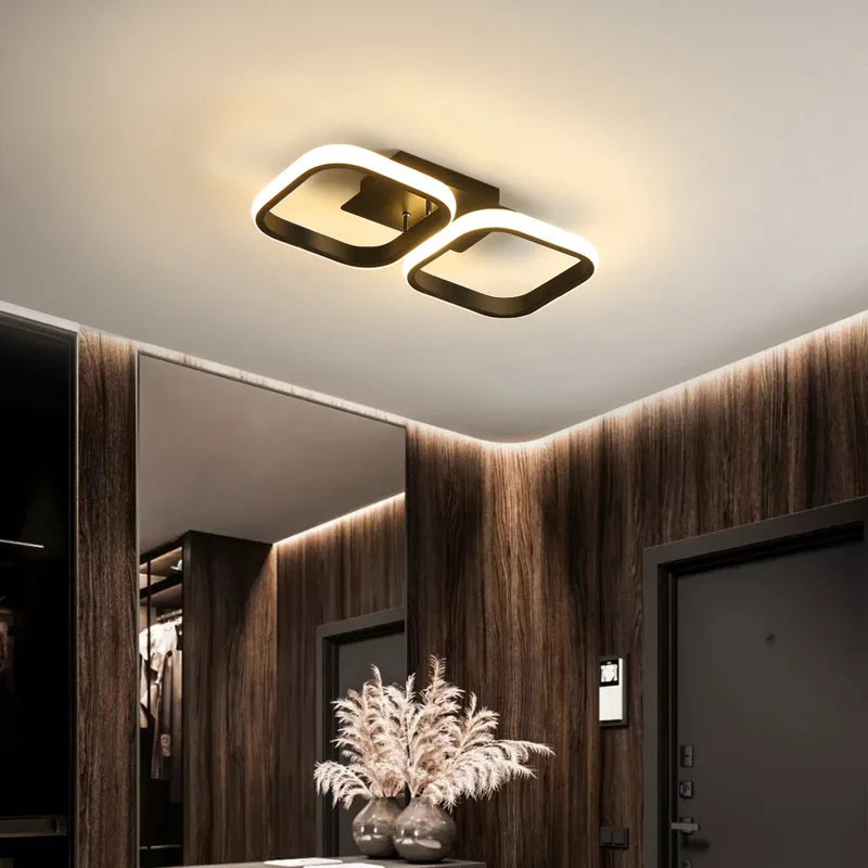 LED Ceiling Light Modern