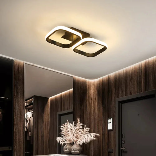 LED Ceiling Light Modern