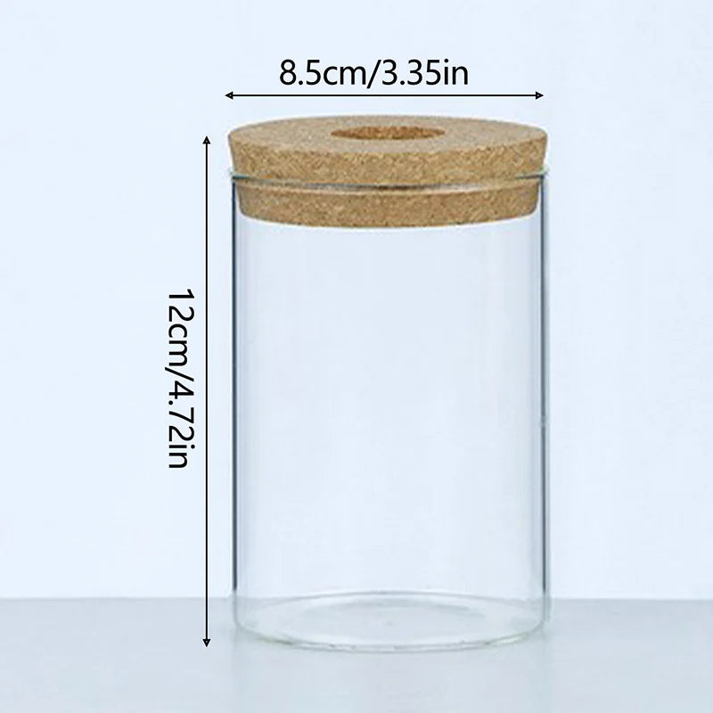 Hydroponic Plant Home Vase Decor Transparent Hydroponic Flower Pot Soilless Plant Pots Office Desktop Green Plants Pot Potted