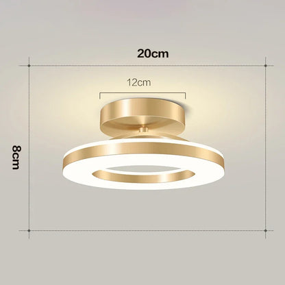 Modern LED Ceiling Lamp Indoor Lighting Home Decoretion For Bedroom Dining Table Living Room Balcony Corridor Ceiling Light