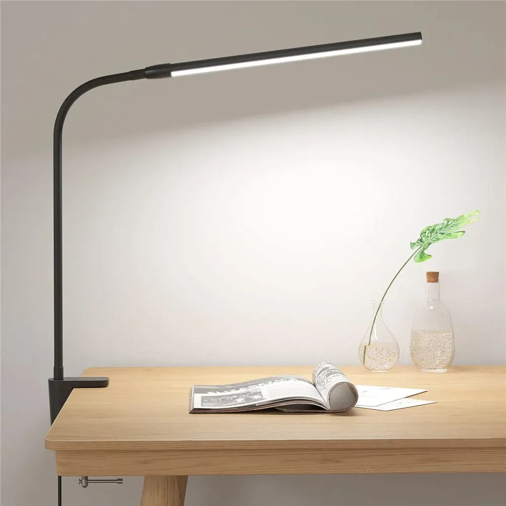 Double Head LED Clip Desk Lamp