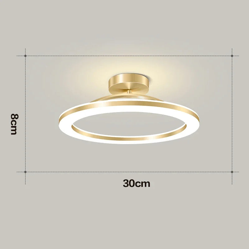 Modern LED Ceiling Lamp Indoor Lighting Home Decoretion For Bedroom Dining Table Living Room Balcony Corridor Ceiling Light
