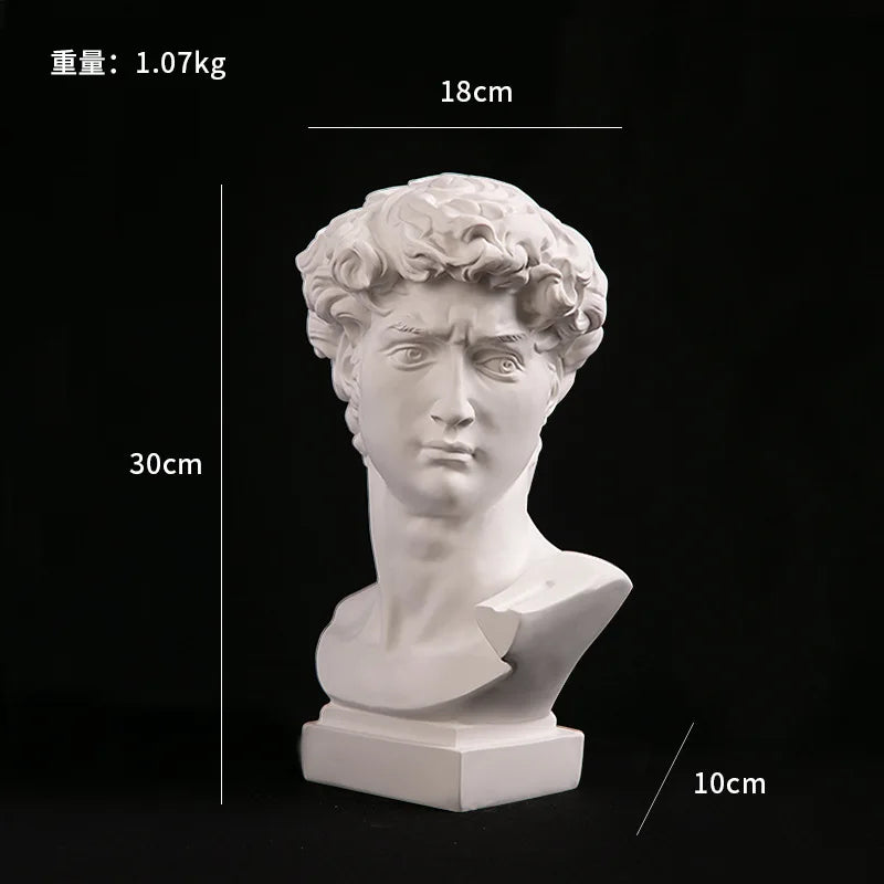European Home Decoration David Head ResinStatues Statues Home Decor  Modern Abstract Art  Bust Sculpture Art Sketch Practice