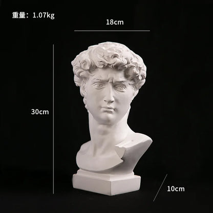 European Home Decoration David Head ResinStatues Statues Home Decor  Modern Abstract Art  Bust Sculpture Art Sketch Practice