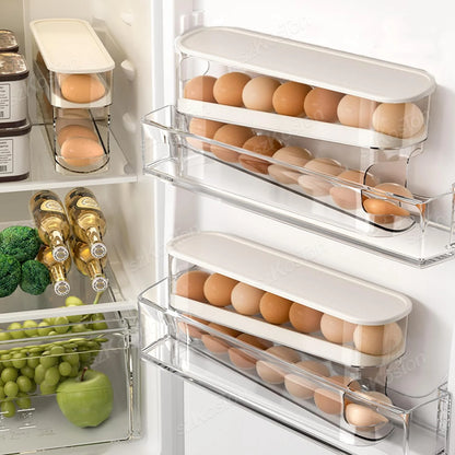 Egg Organizer Boxes