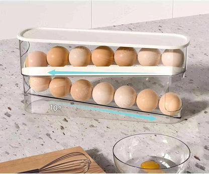 Egg Organizer Boxes
