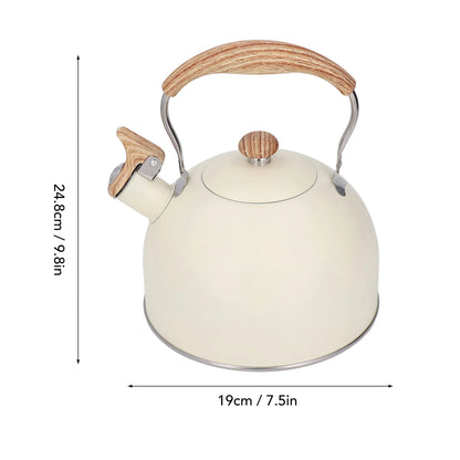 Stainless Steel Teapot