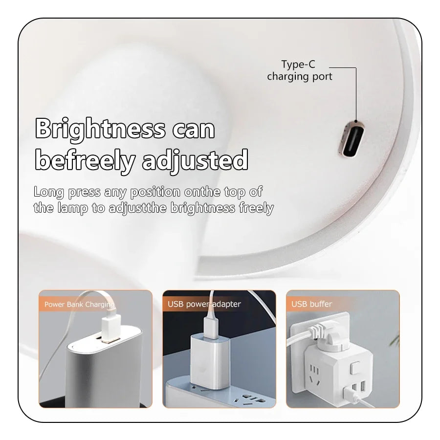 LED Desk Lamp Usb Rechargeable