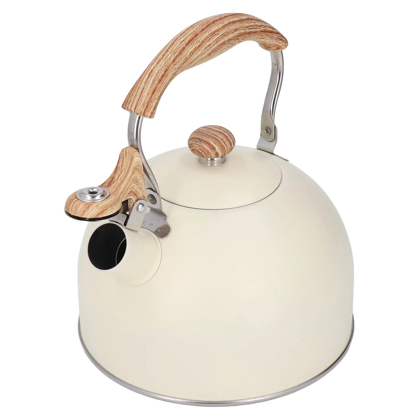 Stainless Steel Teapot