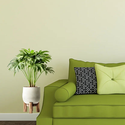 Sticker Green Plant Pot Wall