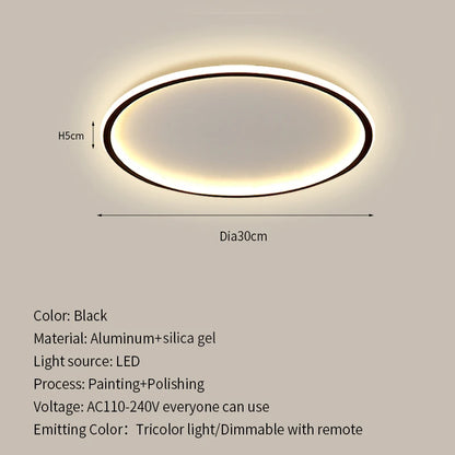 Modern Ultrathin LED Ceiling Lamp