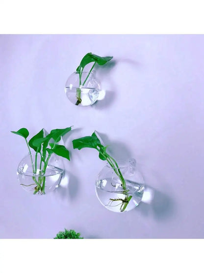 Pack Wall Hanging Glass Terrarium