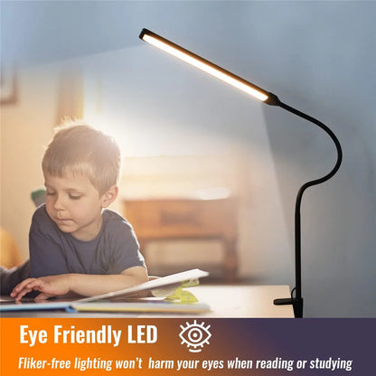 Double Head LED Clip Desk Lamp