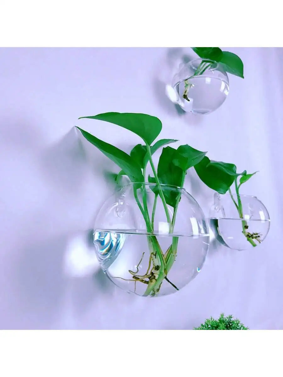 Pack Wall Hanging Glass Terrarium