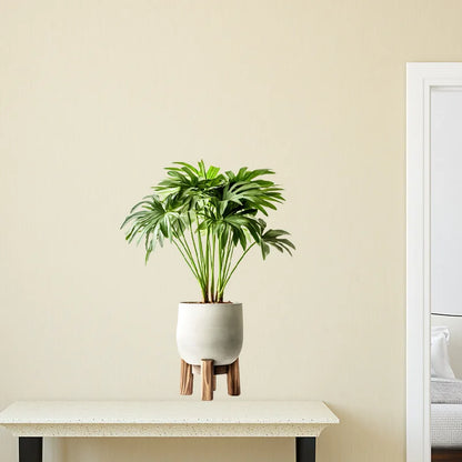 Sticker Green Plant Pot Wall