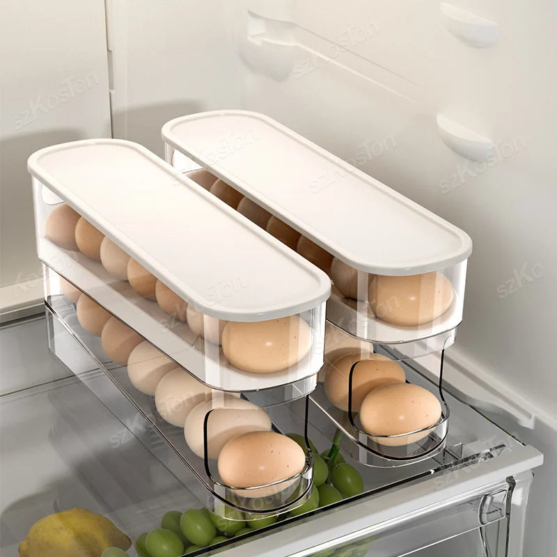 Egg Organizer Boxes