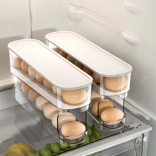 Egg Organizer Boxes